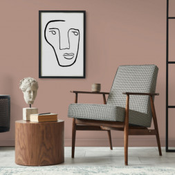 Краска Lanors Mons «Soft Terracotta» (Нежная терракота), 67